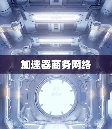 加速器商务网络