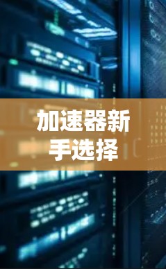 加速器新手选择