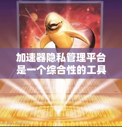 加速器隐私管理平台是一个综合性的工具，旨在保护用户数据的安全和隐私。它通过多方面的措施确保用户的信息不被泄露或滥用，同时提供安全的访问控制和数据保护的解决方案。以下是该平台的主要方面