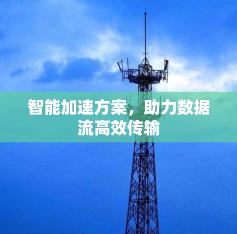 智能加速方案,助力数据流高效传输 智能加速方案,助力数据流高效传输