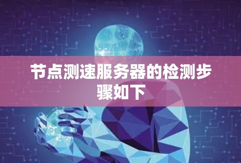 节点测速服务器的检测步骤如下 节点测速服务器的检测步骤如下