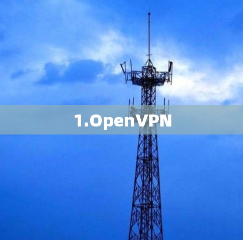 1.OpenVPN