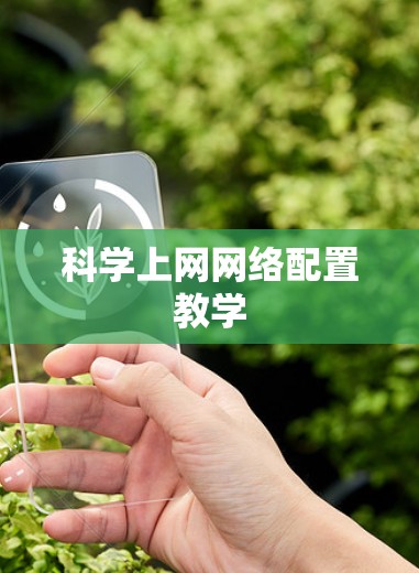 科学上网网络配置教学