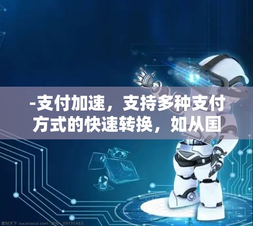 -支付加速,支持多种支付方式的快速转换,如从国内到国际支付 -支付加速,支持多种支付方式的快速转换,如从国内到国际支付