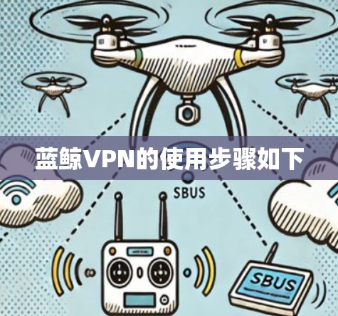 蓝鲸VPN的使用步骤如下 蓝鲸VPN的使用步骤如下