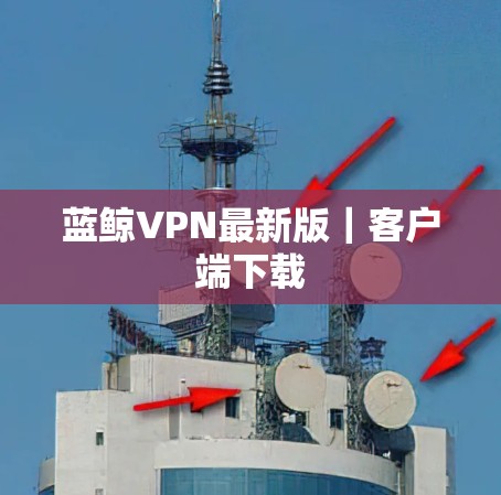 蓝鲸VPN最新版|客户端下载 蓝鲸VPN最新版|客户端下载