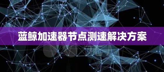 蓝鲸加速器节点测速解决方案 蓝鲸加速器节点测速解决方案