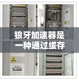 狼牙加速器是一种通过缓存技术优化手机应用下载和播放体验的软件。以下是对狼牙加速器的详细步骤说明 狼牙加速器是一种通过缓存技术优化手机应用下载和播放体验的软件。以下是对狼牙加速器的详细步骤说明