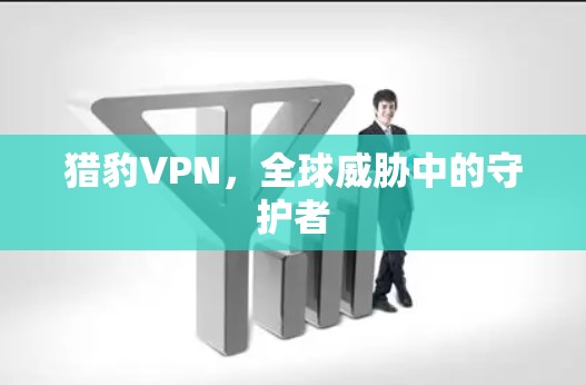猎豹VPN,全球威胁中的守护者